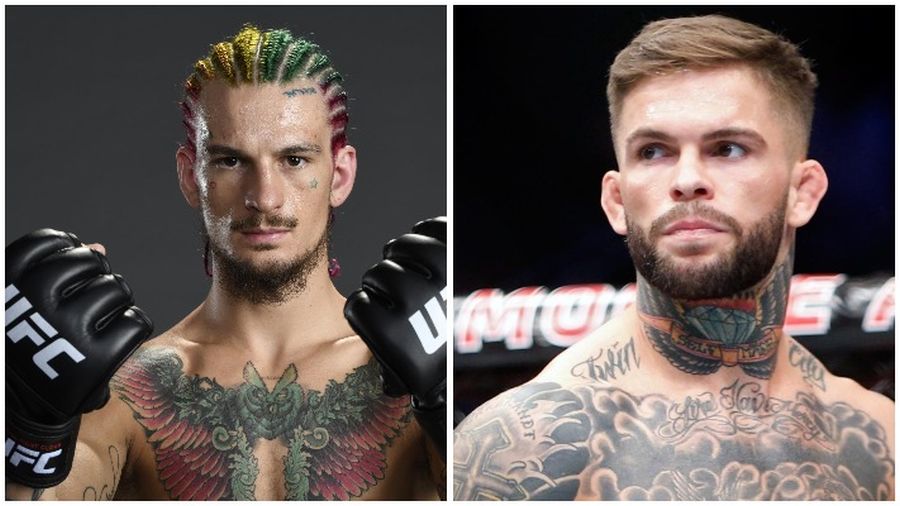 Cody Garbrandt Sean O´Malley