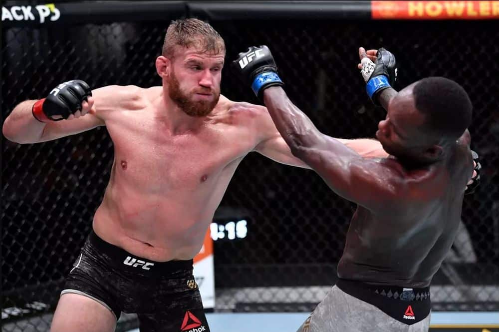 Jan Blachowicz Adesanya