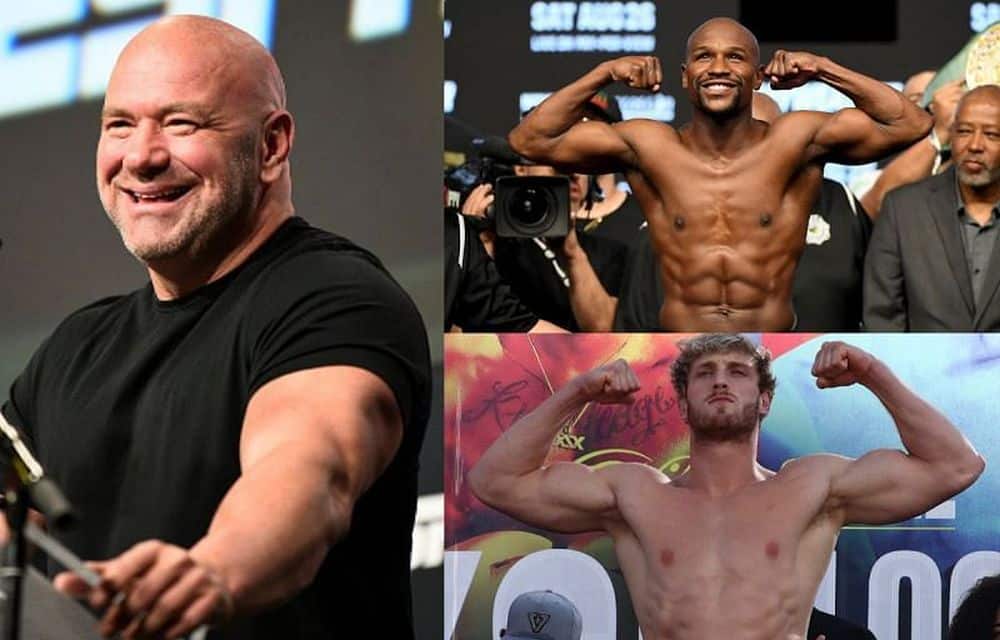 Dana White Mayweather Logan Paul